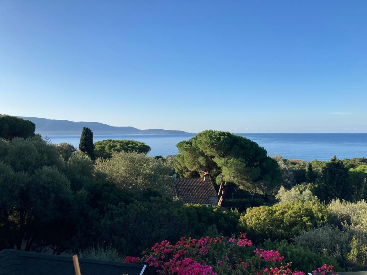 Chez Jean Claude La Villa Des Amis Olmeto Kültér fotó